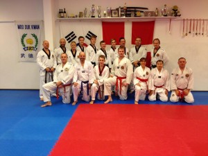 Favrskov Taekwondo Klub nov 2013