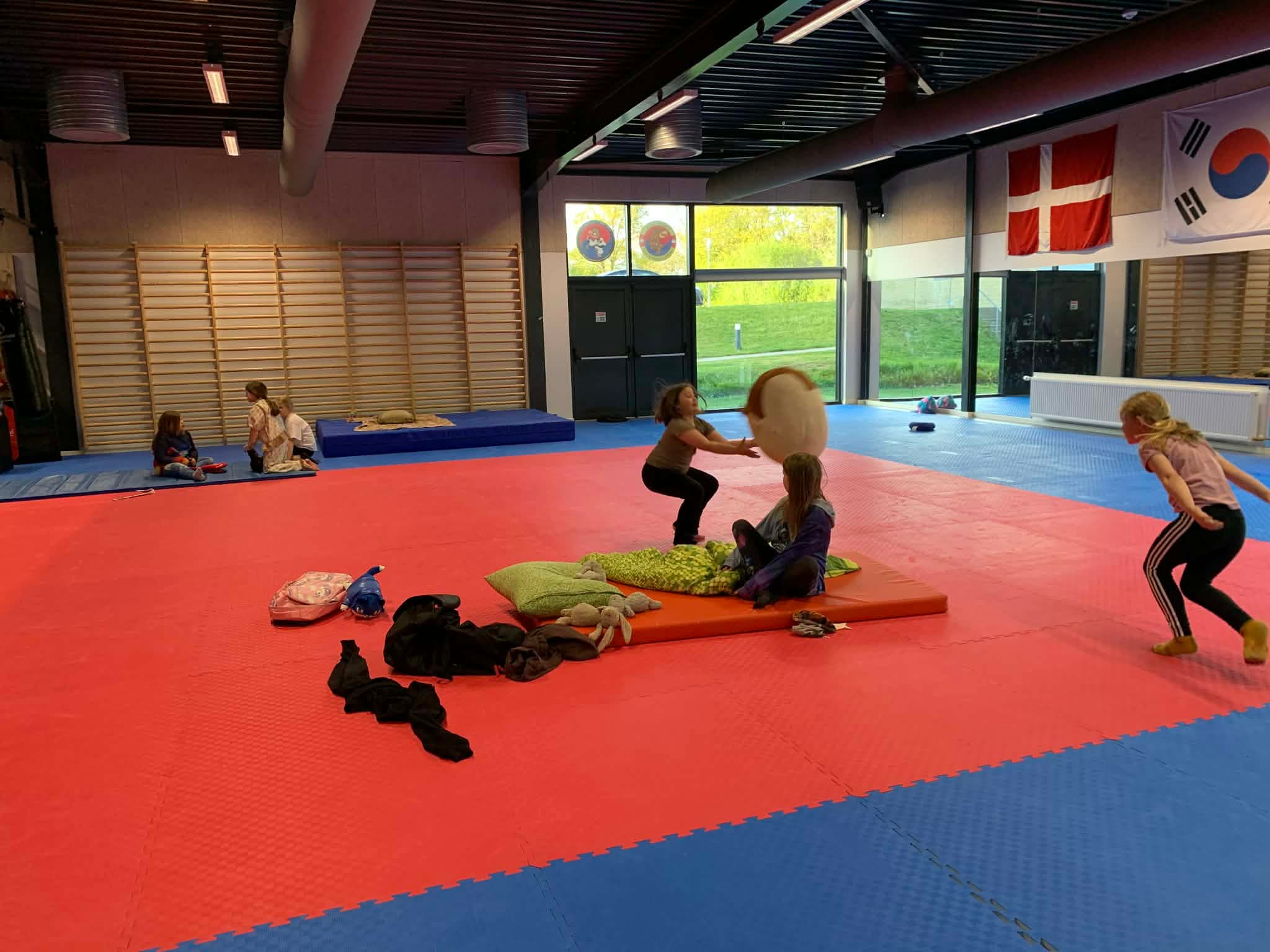 Leg i dojang